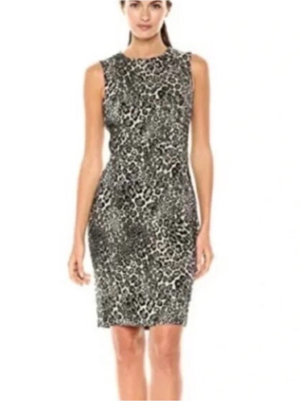 Zara Sleeveless Leopard Print Mini Dress - Black, Gray